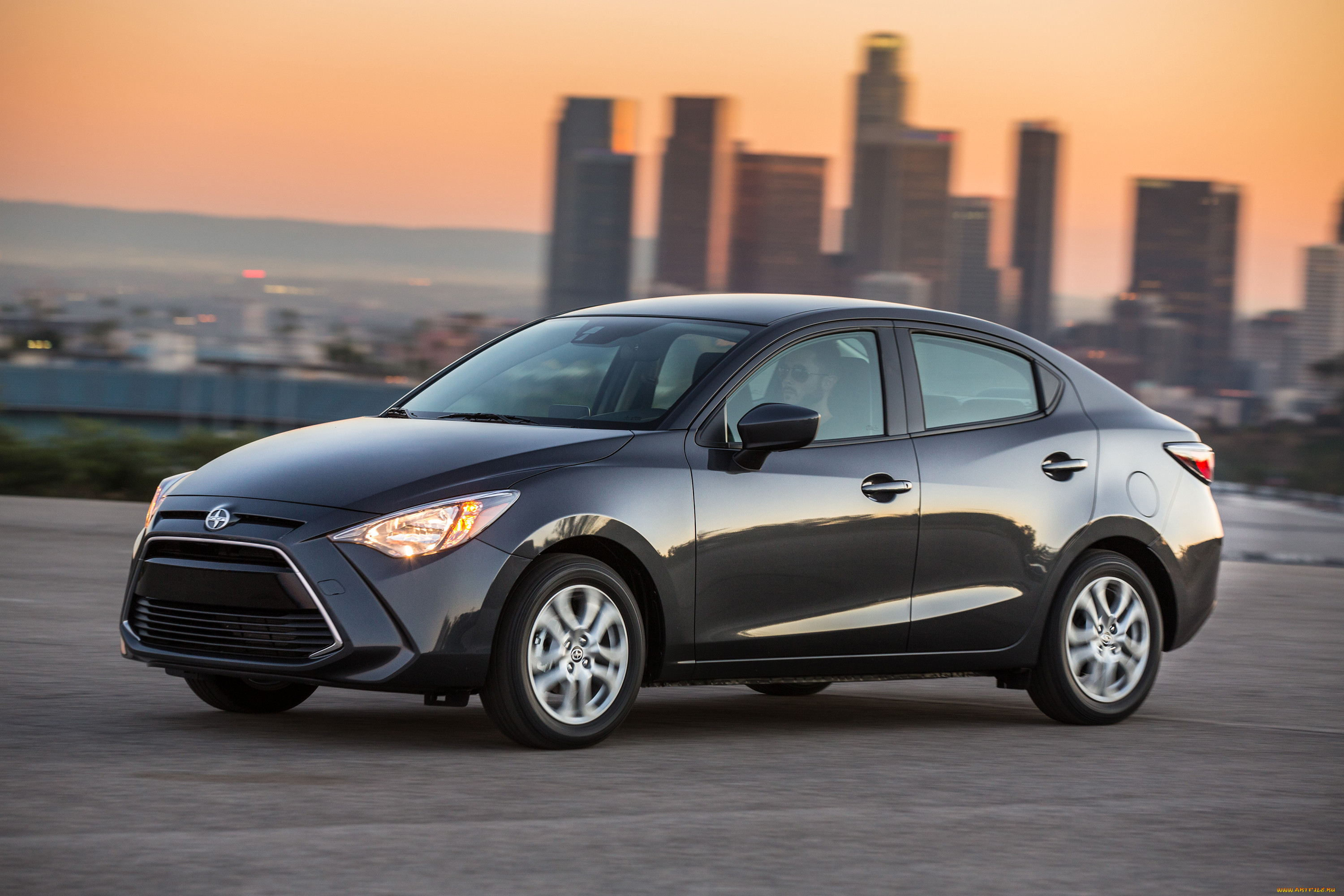 , scion